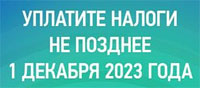 Уплатите налоги не позднее 1 декабря 2023 года