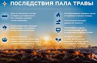 Последствия пала травы