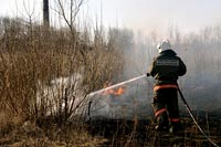 НЕТ палам сухой травы!